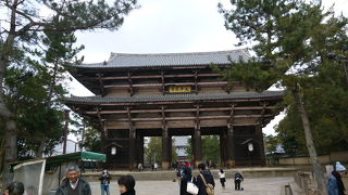 迫力ある南大門です！