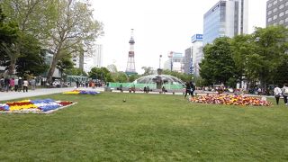 イベントも花もあります