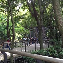 緑がいっぱいで気持ち良いです。