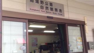 都会の真ん中で自然を体感できる公園なのです。