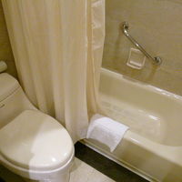 バスルームには浅いですがバスタブがあります