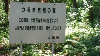 ちい散歩に登場した森林！