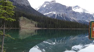 午前中がお勧め