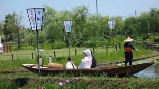 水生植物園で嫁入り舟