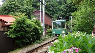 みんなから愛される人気の電車