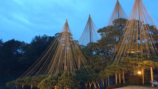 ライトアップがキレイでした