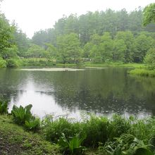 みどりが池