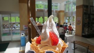 生クリーム風味の絶品ソフトクリーム♪