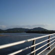 橋の上から名蔵湾のマングローブ林が見渡せます