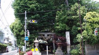 大蛇お練りでお馴染み、室町時代から続く由緒ある神社です～