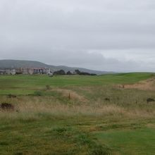 早速のリンクス