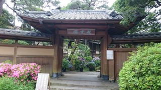 観光地、起雲閣  in静岡・来宮