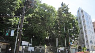 歴史があり遺跡のある神社です