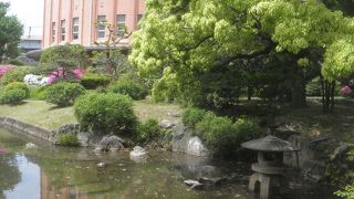 庭園からの眺め