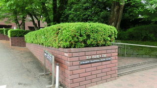 熊本の伝統工芸を知る『熊本県伝統工芸館』