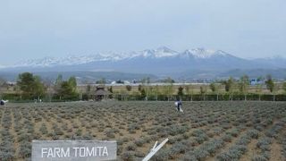 ファーム富田