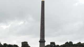 綺麗でも・・・