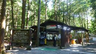 お気軽樹海体験としても良いかも