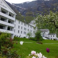 花と緑とフィヨルドの景色に合致した外観