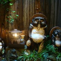 お庭にはたぬきの置物が置いてありました。