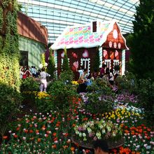 チューリップガーデン