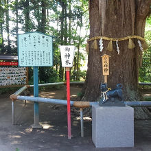 オハツキイチョウと戌亥の置物