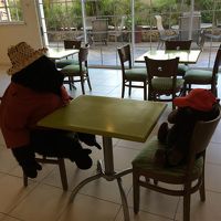 ２年ぶりにゴリラと対面です。