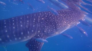 混雑しています