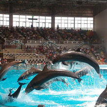 ショーのワンシーン