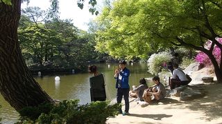 大春塘池でございます