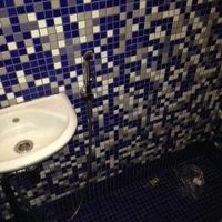 まさにシャワートイレです