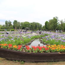 水元公園