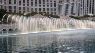 噴水ショーは夜の方が綺麗。