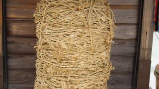 大岡越前の名裁きに所縁の縛られ地蔵が祀られています