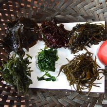海藻しゃぶしゃぶ。各々味違いましたよ。