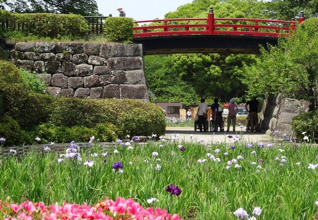 小田原の公園 植物園 クチコミ人気ランキングtop11 フォートラベル 神奈川県