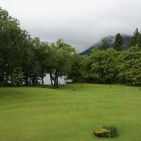 芝生が綺麗です