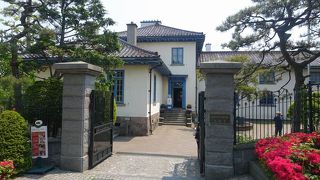 花が少ないとちょっと寂しい