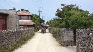 水牛といえばここ