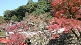瀧安寺の紅葉が美しかった