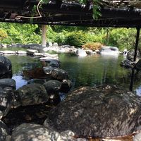 ここに虫がいっぱい！