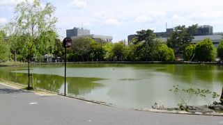 興福寺近くの池