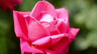 ロケーション抜群ですよ