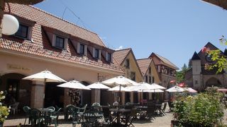 バラが咲いてました