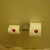 トイレットペーパーが高級だった（笑）