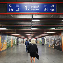 ホームまでの道のりです。