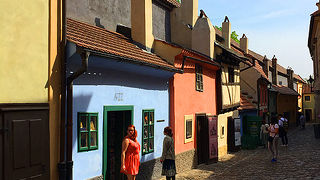 7人の小人が出てきそうな小道。