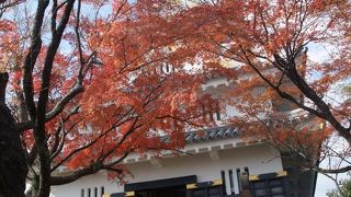 金華山山頂の城