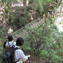 3号路 長い木橋