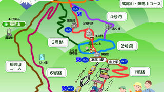 高尾山自然研究路には6つのコースがあり、動物･植物･昆虫･野鳥の解説板が付いていて、自然の博物館となっています。